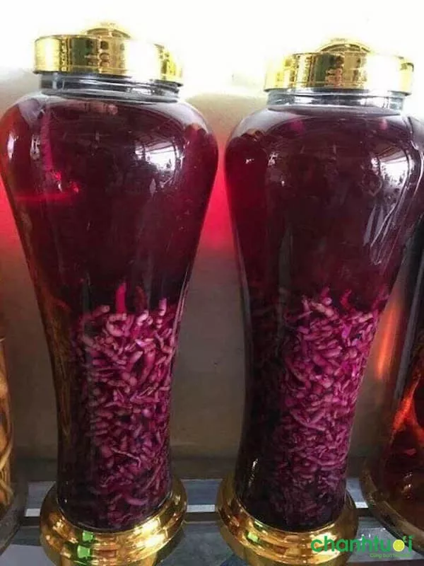 Cách uống rượu ba kích