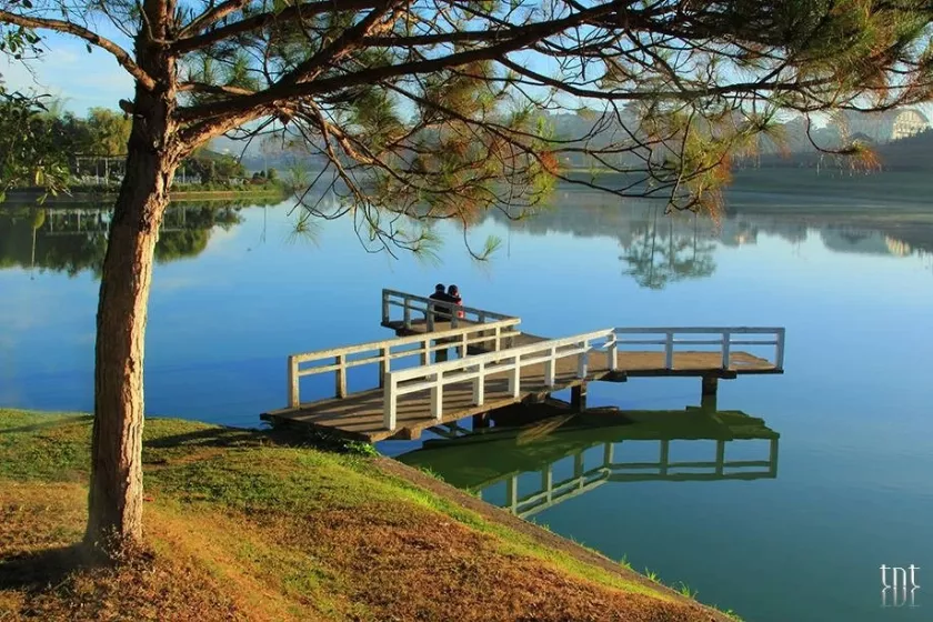 Cảnh quay lãng mạn tại Cầu chữ Y