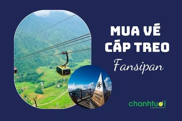 Cáp treo Fansipan nhìn từ trên cao