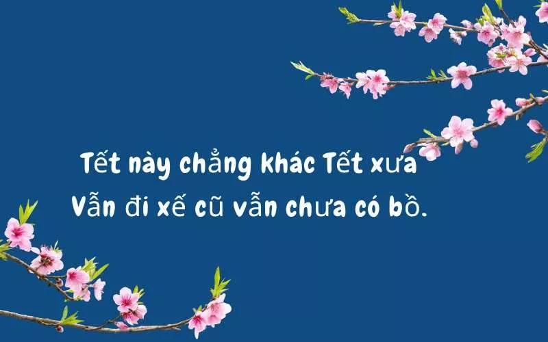 Caption Tết hài hước