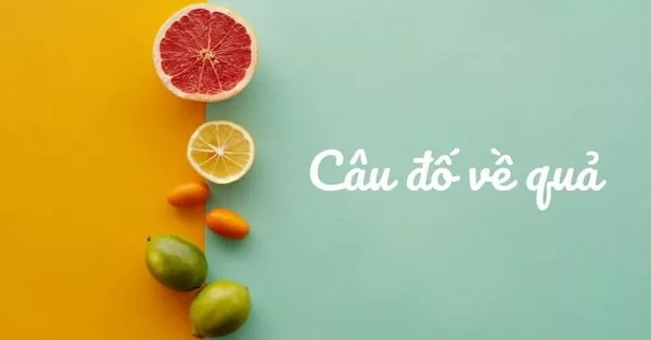 Câu đố về trái cây