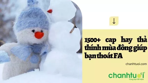 Câu thả thính mùa đông