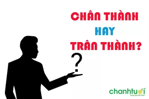 Chân thành hay trân thành