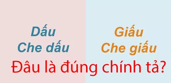 Che giấu hay che dấu? Đâu mới là từ đúng chính tả