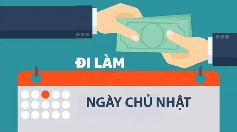 Chủ nhật vẫn phải cày