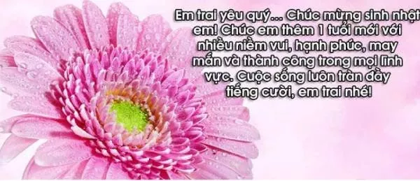 Chúc mừng sinh nhật em trai độc đáo