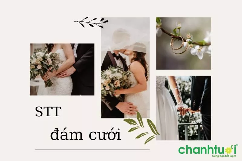 Cô dâu chú rể trong lễ cưới