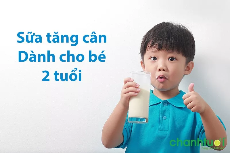 Có nên cho bé 2 tuổi uống sữa tăng cân