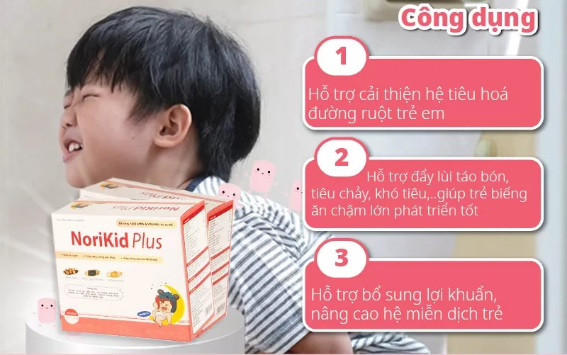 Công dụng của Norikid Plus