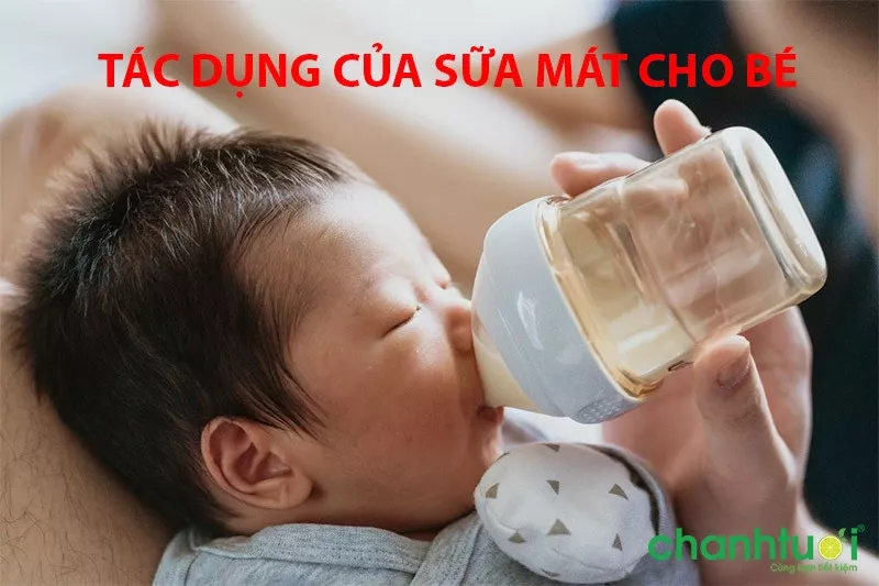 Công dụng của sữa mát