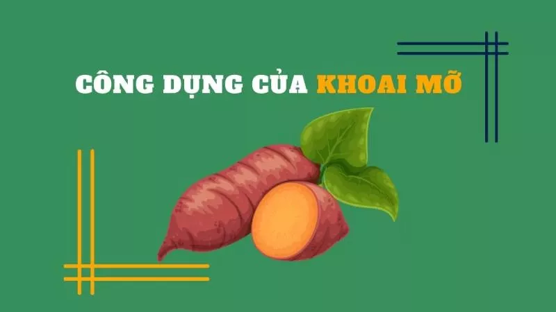 Công dụng khoai mỡ