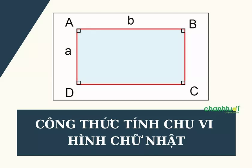 Công thức tính chu vi hình chữ nhật. Các dạng bài tập