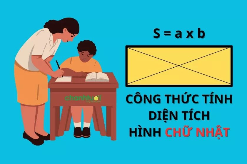 Công thức tính diên tích hình chữ nhật và các bài tập ví dụ