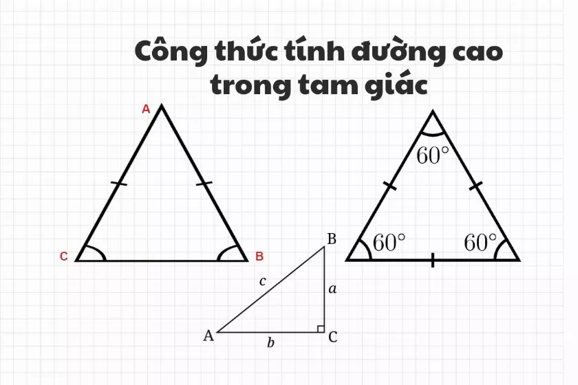 Công thức tính đường cao trong tam giác vuông, cân, thường, đều chuẩn nhất