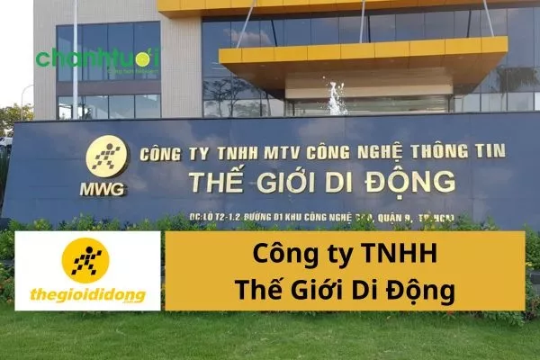 Công ty TNHH Thế Giới Di Động và điều có thể bạn chưa biết