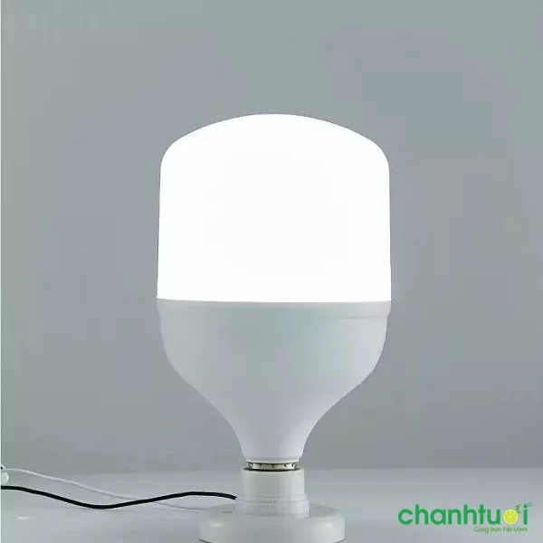 cửa hàng đèn trang trí