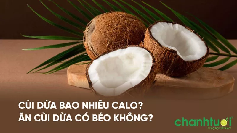 Cùi dừa bao nhiêu calo? Ăn cùi dừa có tốt không? Có tăng cân không?