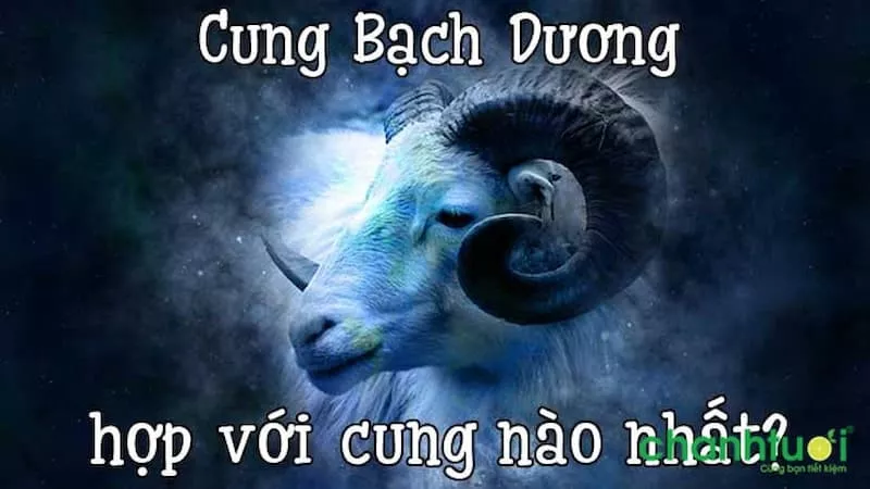 Cung Bạch dương hợp cung nào