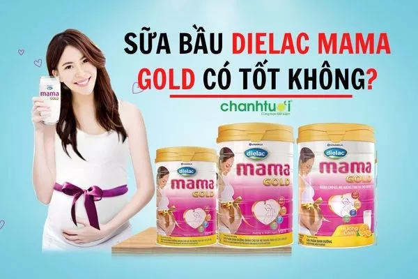 Đánh giá sữa Dielac Mama Gold có tốt không? Giá bao nhiêu?