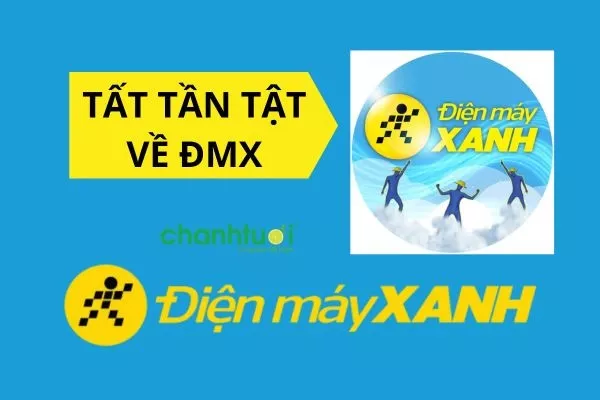 Điện máy Xanh là gì? Thông tin về công ty Điện Máy Xanh