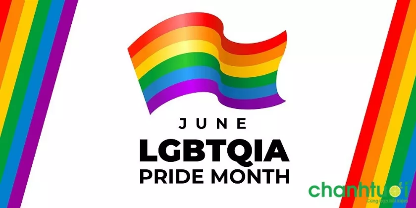 Diễu hành Pride đầu tiên