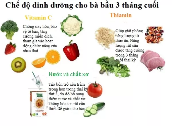 Dinh dưỡng cho bà bầu 3 tháng cuối