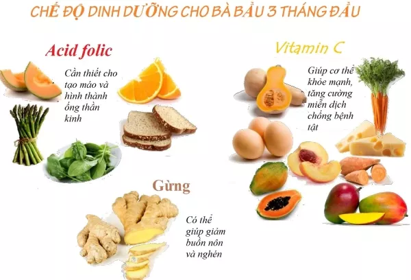 Dinh dưỡng cho bà bầu 3 tháng đầu