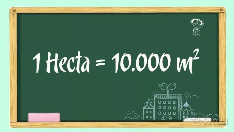 Đổi từ hecta sang mét vuông: 1 ha bằng bao nhiêu mét vuông?