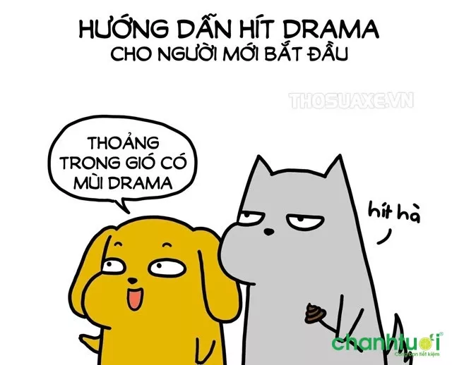 Drama trên mạng xã hội