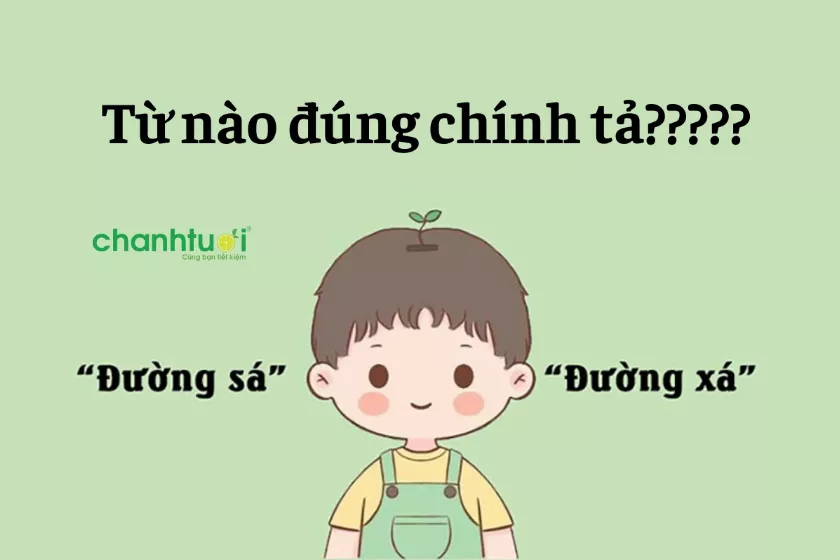 Đường xá hay đường sá? Đi tìm từ nào đúng chính tả tiếng Việt?