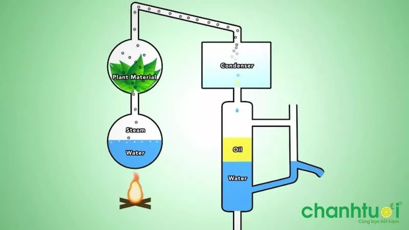 Ép lạnh tinh dầu