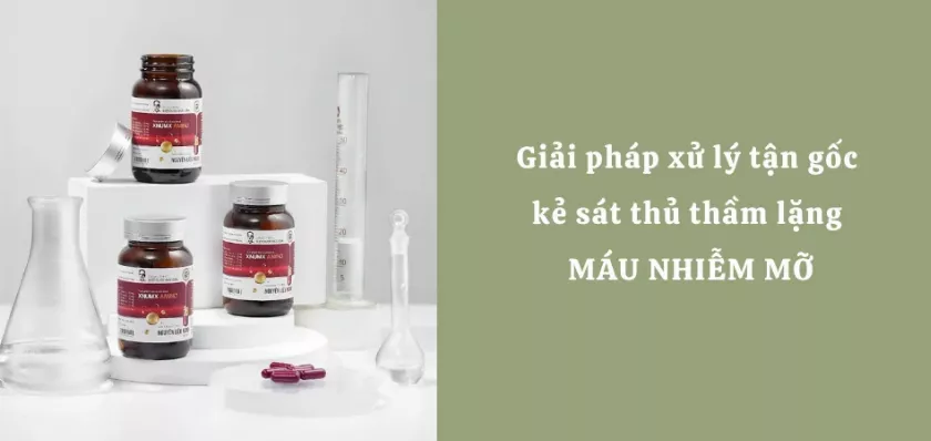 Giải pháp xử lý tận gốc kẻ sát thủ thầm lặng MÁU NHIỄM MỠ