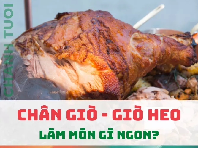 Giò heo làm món gì ngon? Top 20 món ăn thơm ngon, dễ nấu