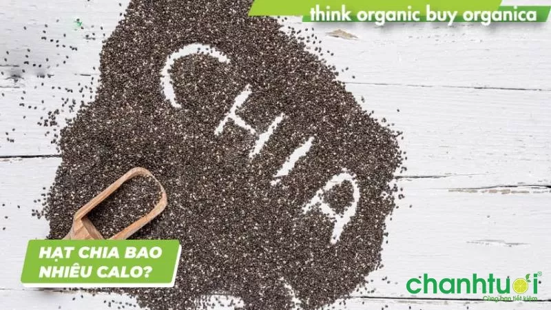 Hạt chia bao nhiêu calo? Cách giảm cân bằng hạt chia hiệu quả