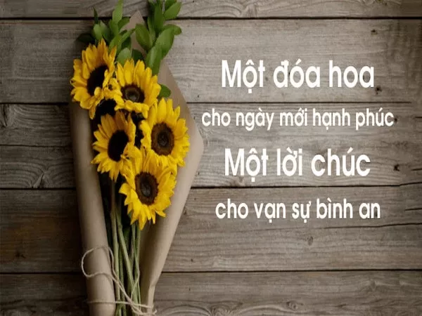 Hình ảnh chào ngày mới hài hước