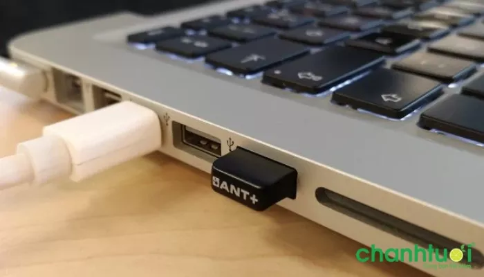 Hình ảnh đầu thu USB của chuột không dây được cắm vào cổng USB của laptop