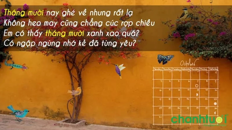 Hình ảnh đẹp về tháng 10