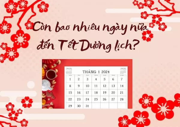 Hình ảnh hoa và đồ trang trí Tết