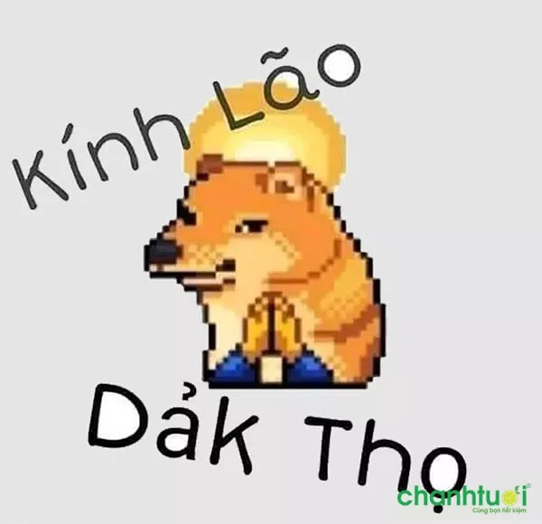 Hình ảnh meme về Dảk, bủh, lmao