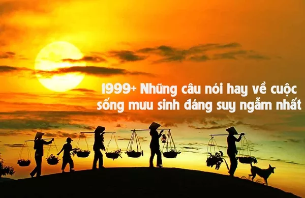 Hình ảnh về cuộc sống mưu sinh