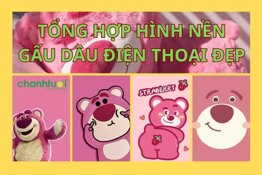 Hình nền điện thoại gấu dâu Lotso