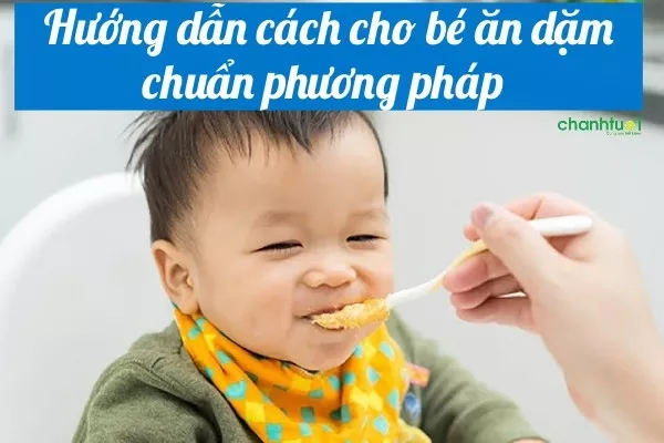 Hướng dẫn cách cho bé ăn dặm chuẩn phương pháp từ A đến Z