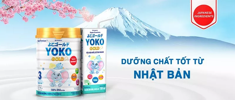 Hướng dẫn sử dụng sữa Yoko Gold