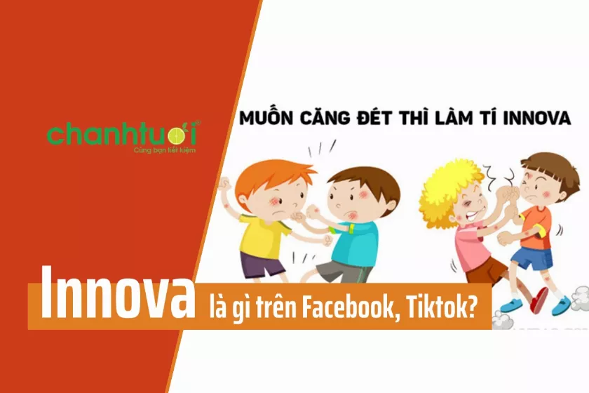 Innova là gì trên Facebook, Tiktok? Làm tí Innova là cái gì?