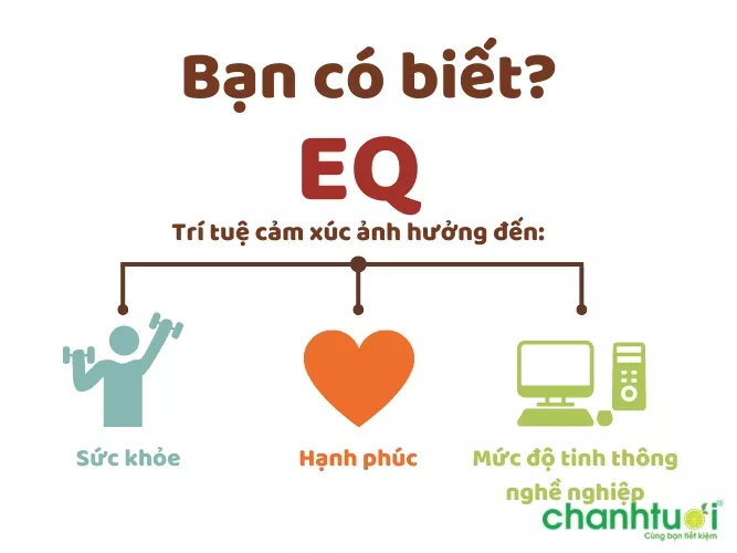 Khả năng điều chỉnh cảm xúc