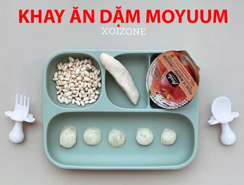 Khay ăn dặm Moyuum