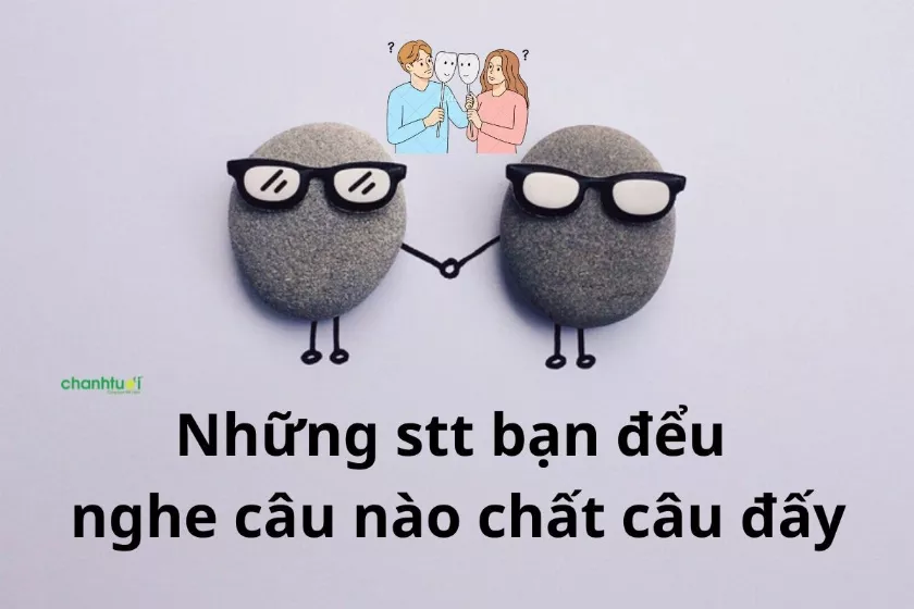 Khịa Bạn Đểu: STT Troll Bạn Bè Chất Như Nước Cất