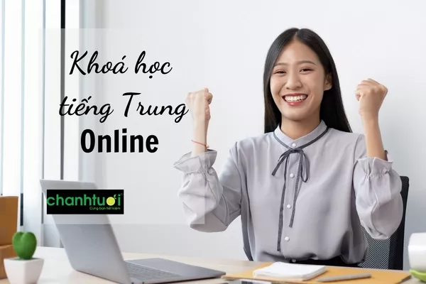 Khoá học tiếng Trung online tại nhà giá rẻ, tốt nhất