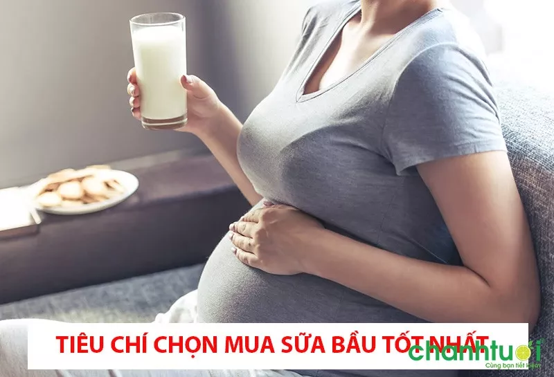 Kinh nghiệm mua sữa bầu