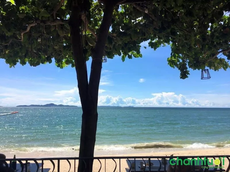 Koh Larn - đảo san hô nổi tiếng của Pattaya